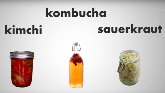 Fermented Foods